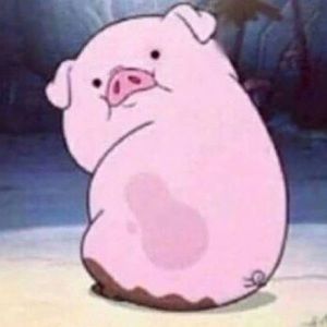 Meet your Posher, Jules